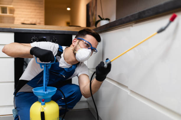 Best Pest Inspection Near Me  in Rutherford College, NC