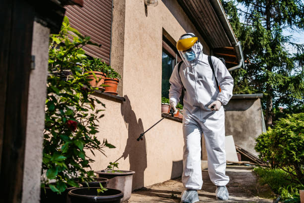 Best Affordable Pest Control Services  in Rutherford College, NC