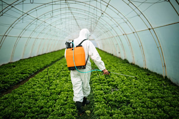 Best Commercial Pest Control Services  in Rutherford College, NC