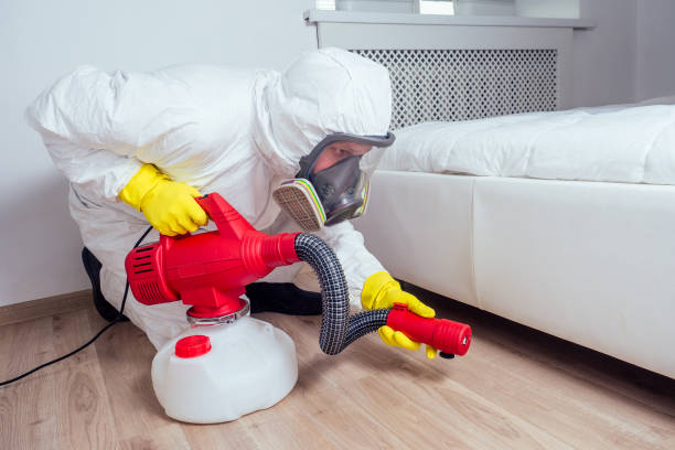 Best Residential Pest Control  in Rutherford College, NC