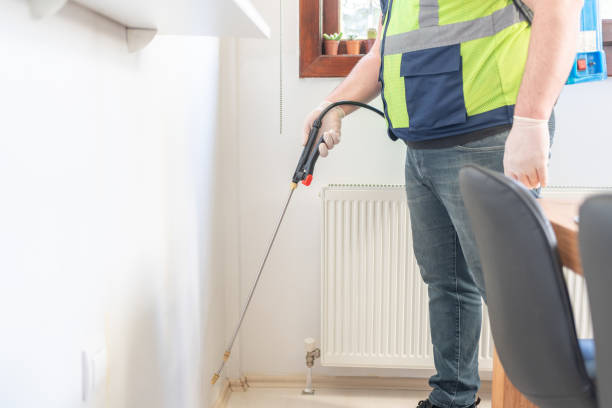 Best Cockroach Control Services  in Rutherford College, NC