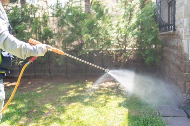 Bird Control in Rutherford College, NC