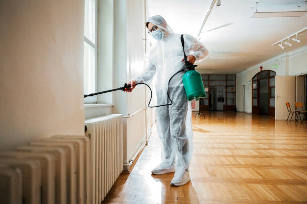 Best Mosquito Control Services  in Rutherford College, NC